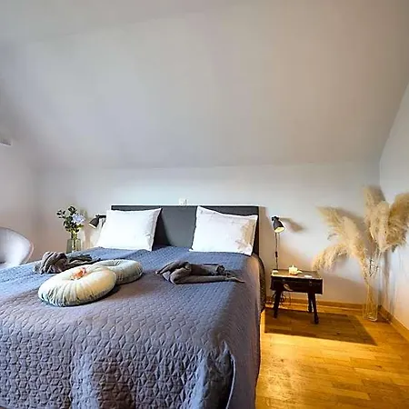 Cecha &wellness Oda ve Kahvaltı Oostende