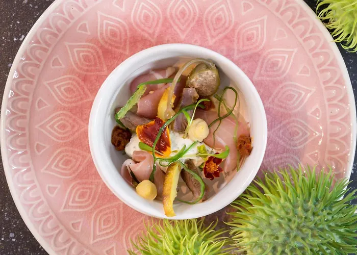 Cecha &wellness 4* אוסטנדה