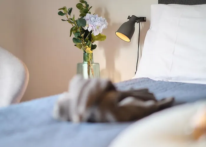 Cecha &wellness Alojamento de Acomodação e Pequeno-almoço