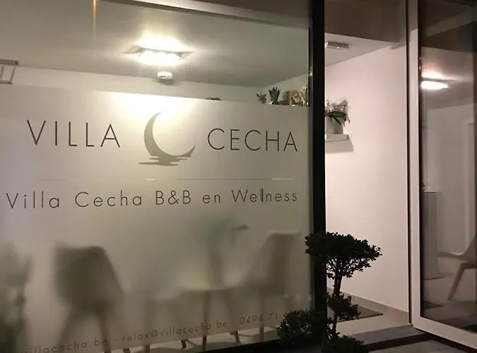 Cecha &wellness 4* Ostend