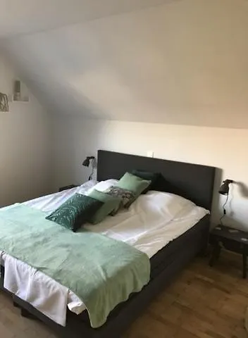 Alojamento de Acomodação e Pequeno-almoço Cecha &wellness 4*