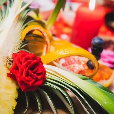 Cecha &wellness 4* Ostend