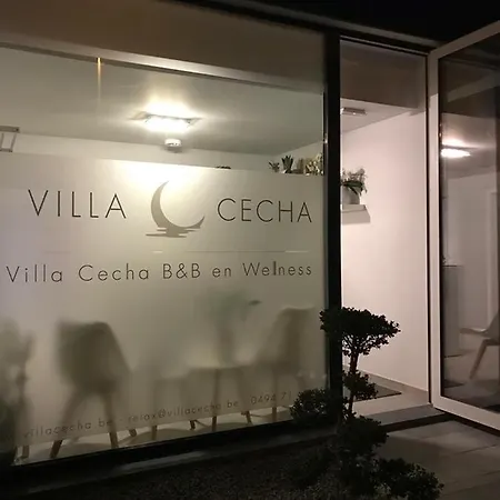 Cecha &wellness 4* Ostend